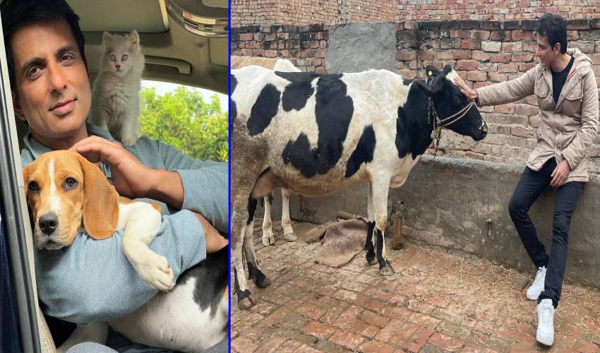 Sonu Sood : రియల్ హీరోకి పెట్స్ అంటే ఎంత ప్రేమో చూశారా.. Sonu Sood : రియల్ హీరోకి పెట్స్ అంటే ఎంత ప్రేమో చూశారా..