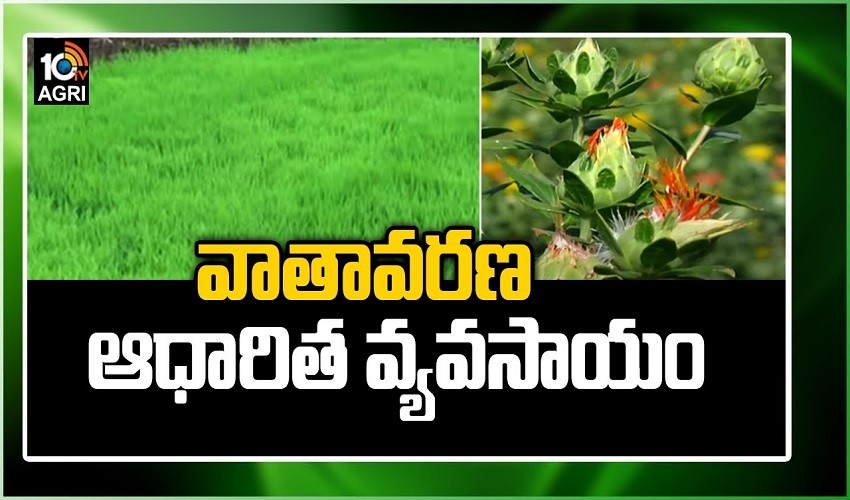 Vaataavarana