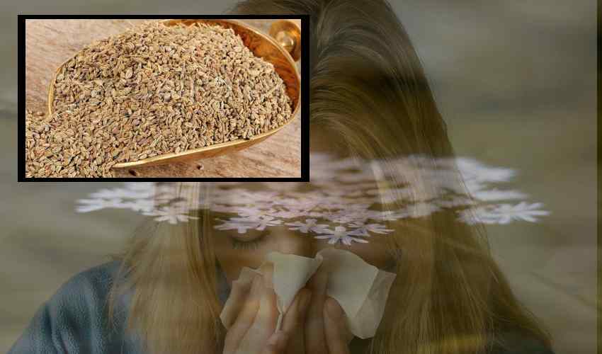 Nasal Congestion : ముక్కు దిబ్బడ వదిలించే వాము.. Nasal Congestion : ముక్కు దిబ్బడ వదిలించే వాము..