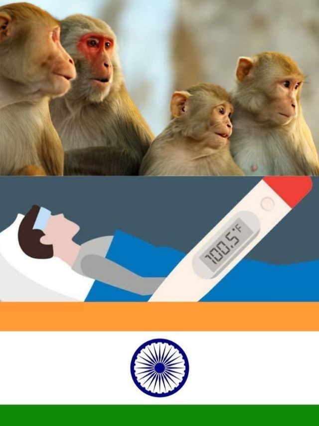 >భారత్ లో మరోసారి మంకీ ఫీవర్ కలకలం