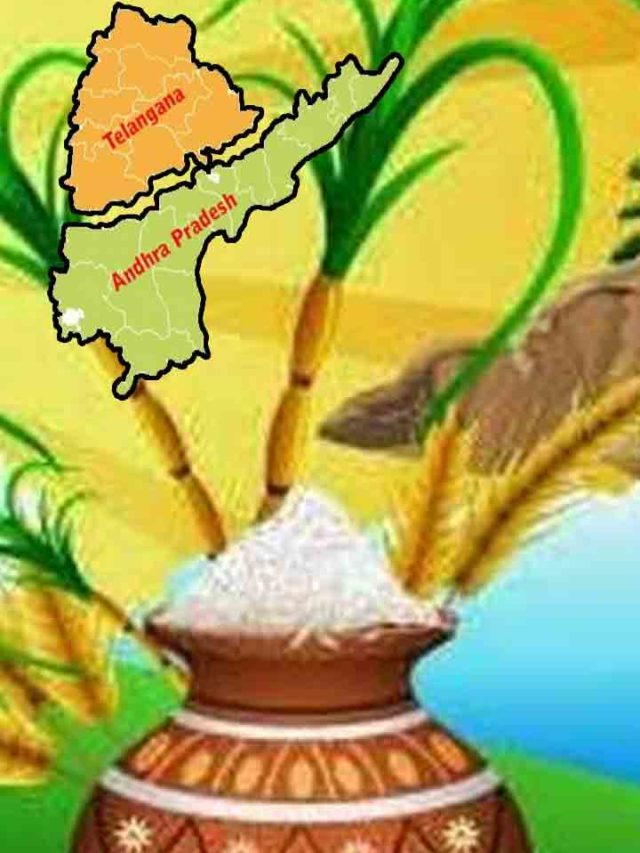 >తెలుగు రాష్ట్రాల్లో సంక్రాంతి సంబరాలు