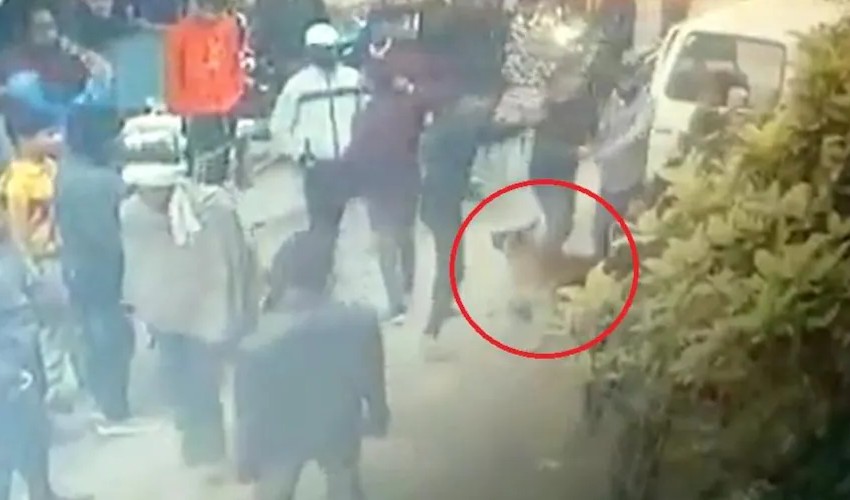 Dog saves Owner: కిడ్నాప్ నుంచి యజమానిని రక్షించిన శునకం Dog saves Owner: కిడ్నాప్ నుంచి యజమానిని రక్షించిన శునకం