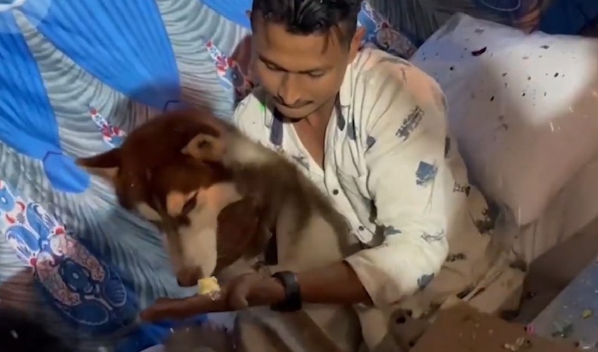 Dogs Birthday: పెంపుడు కుక్క పుట్టినరోజున 150 మందికి బిర్యానీ దానం చేసిన దినసరి కూలీ Dogs Birthday: పెంపుడు కుక్క పుట్టినరోజున 150 మందికి బిర్యానీ దానం చేసిన దినసరి కూలీ