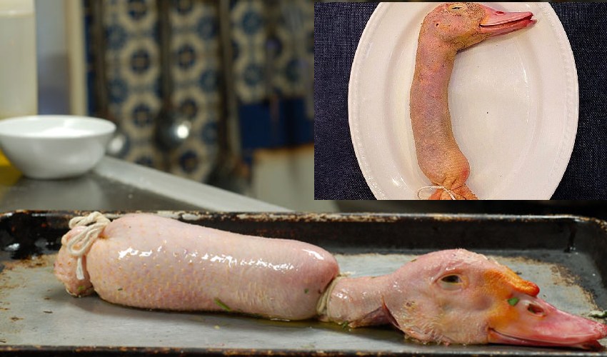 Weird Food: బాతు తలను యధాతధంగా వండి వడ్డించిన రెస్టారెంట్ Weird Food: బాతు తలను యధాతధంగా వండి వడ్డించిన రెస్టారెంట్