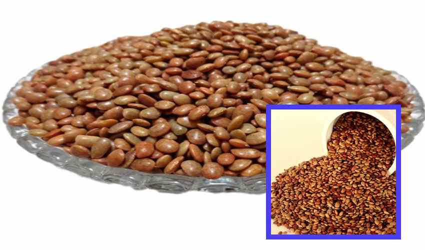 Hourse Gram : ఆరోగ్యానికి మేలు చేసే ఉలవలు Hourse Gram : ఆరోగ్యానికి మేలు చేసే ఉలవలు