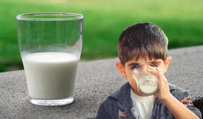Milk (2)