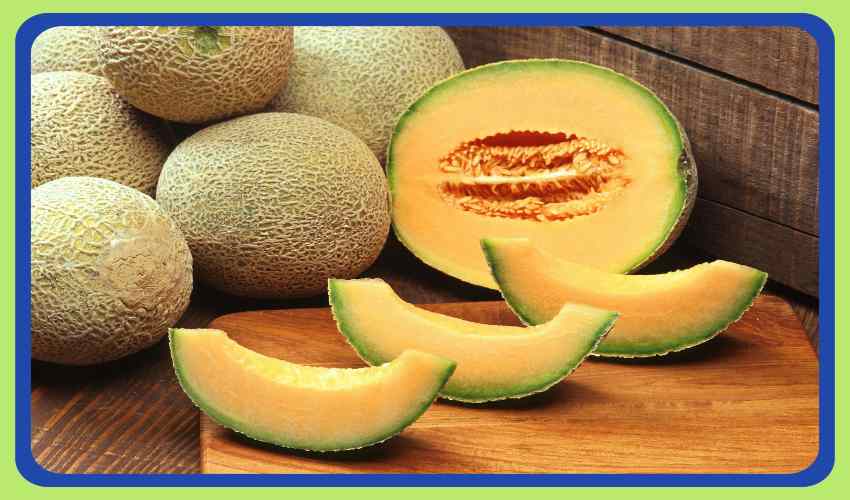 Watermelon Fruit : కర్భూజా పండు తింటే….ఆకలి పెరగటంతోపాటు ఇంకా ఎన్నో… Watermelon Fruit : కర్భూజా పండు తింటే….ఆకలి పెరగటంతోపాటు ఇంకా ఎన్నో…