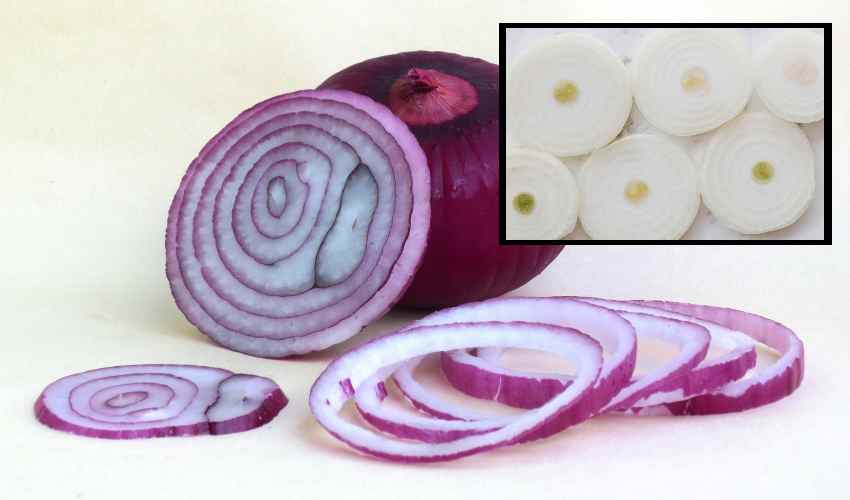 Benefits Of Onion : ఉల్లిపాయతో ఆరోగ్యప్రయోజనాలు తెలిస్తే… Benefits Of Onion : ఉల్లిపాయతో ఆరోగ్యప్రయోజనాలు తెలిస్తే…
