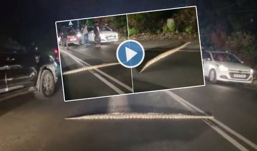 Python On Road