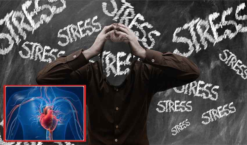 Stress