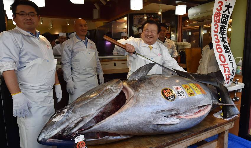 Tuna