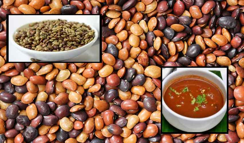 Horse Gram : గుండె ఆరోగ్యంతోపాటు, బరువు తగ్గించే ఉలవలు Horse Gram : గుండె ఆరోగ్యంతోపాటు, బరువు తగ్గించే ఉలవలు