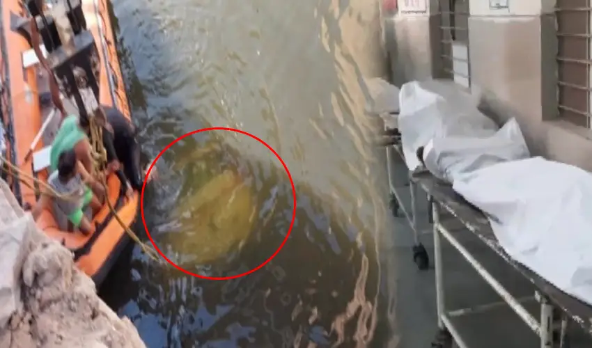 8 People Died After Their Car Fell Off Chhoti Puliya Nto The Chambal River