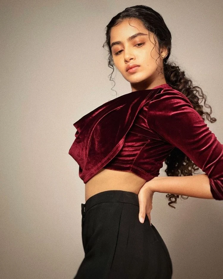 Anupama Parameswaran2 11zon