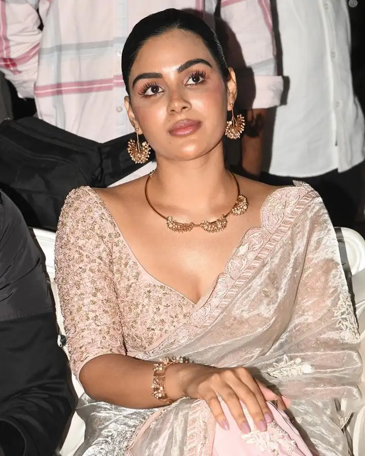 Bheemla Nayak 12