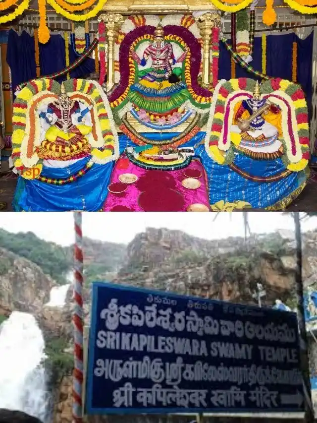 >కోయిల్ ఆళ్వార్ తిరుమంజనం