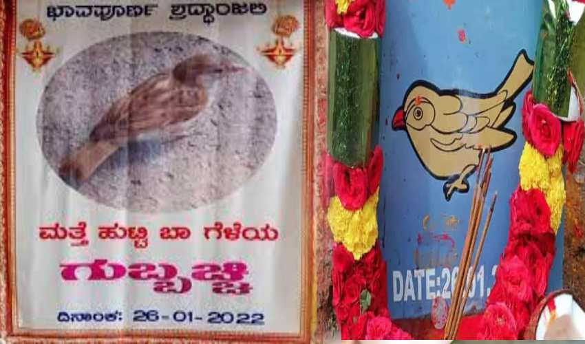 Karnataka Villagers Pay Tribute To The Sparrow