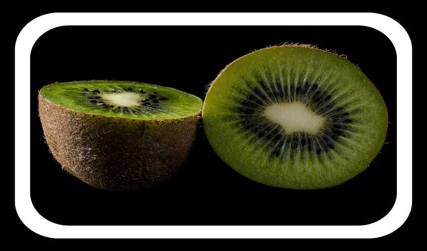 Kiwi Fruit : గుండెకు మేలు చేసే కివి పండు Kiwi Fruit : గుండెకు మేలు చేసే కివి పండు