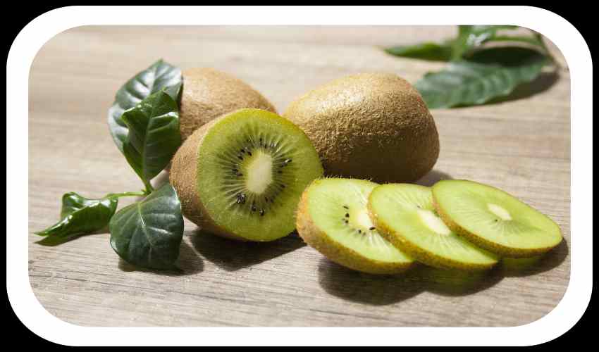 Kiwi Fruit : కివీ పండు… పోషకాలు మెండు Kiwi Fruit : కివీ పండు… పోషకాలు మెండు