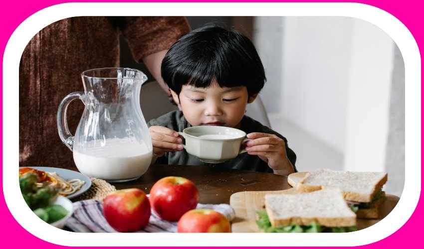 Dairy Products : శరీరంలో ప్రొటీన్ల కొరతను తీర్చే… పాల ఉత్పత్తులు Dairy Products : శరీరంలో ప్రొటీన్ల కొరతను తీర్చే… పాల ఉత్పత్తులు