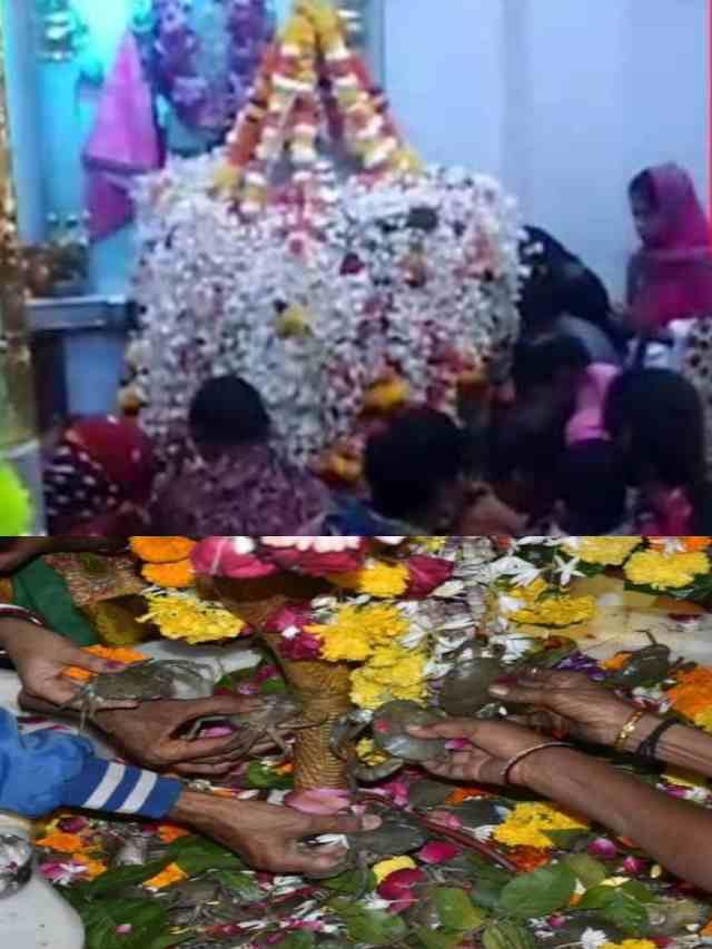>పీతలతో పరమశివుడికి అభిషేకం..! ఆ దేవాలయంలో అదే ప్రత్యేకత..!!