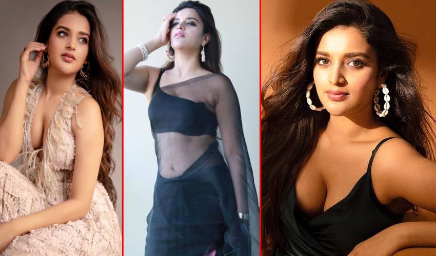 Nidhhi Agerwal : అందాల నిధులన్నీ తనలోనే దాచుకుంది..
