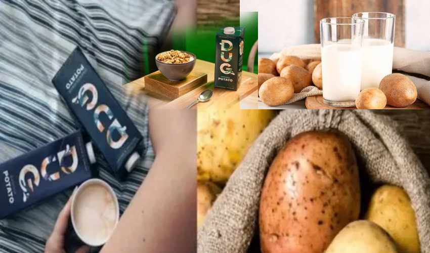 Potato Milk Trending Swedish Company Develops