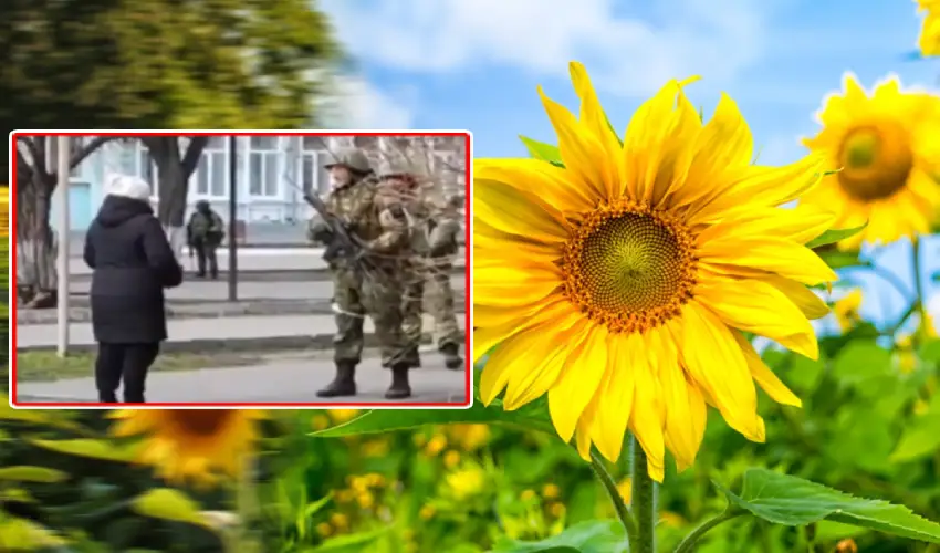 Ukrainian Woman Gives Sunflower Seeds To Russian Soldier