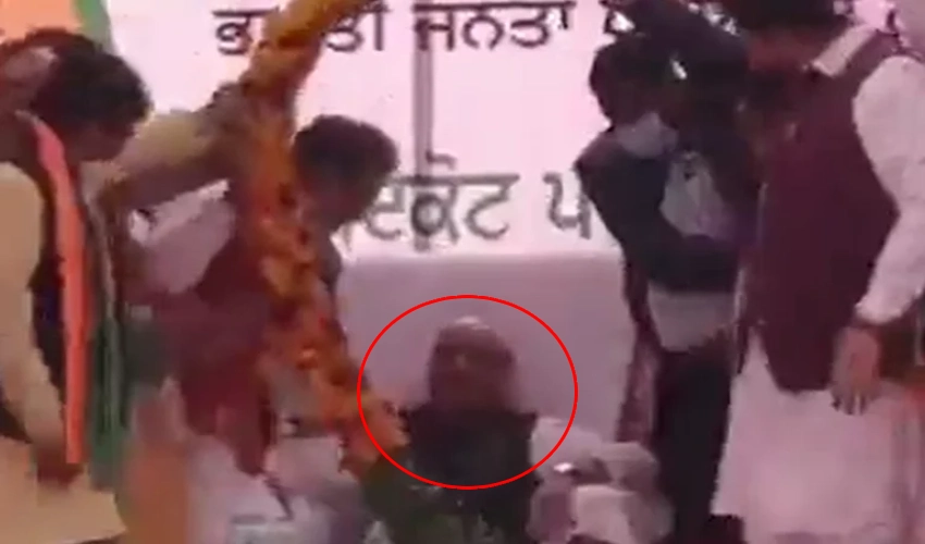 Union Minister Rajnath Singh Falls On Stage As Party Workers Scamper To Be Garlanded