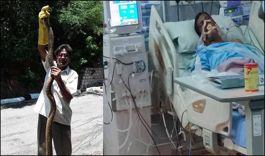 Bhaskar Naidu : టీటీడీ స్నేక్ క్యాచర్ భాస్కర్ నాయుడు పరిస్థితి విషమం! Bhaskar Naidu : టీటీడీ స్నేక్ క్యాచర్ భాస్కర్ నాయుడు పరిస్థితి విషమం!