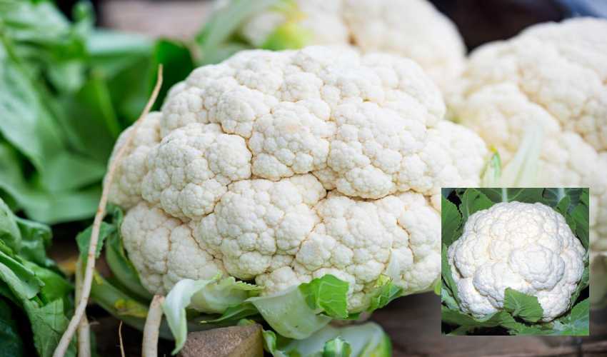 Cauliflower