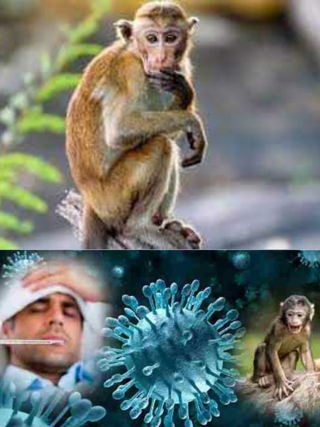 >భారత్ లో మరో వైరస్ కలకలం