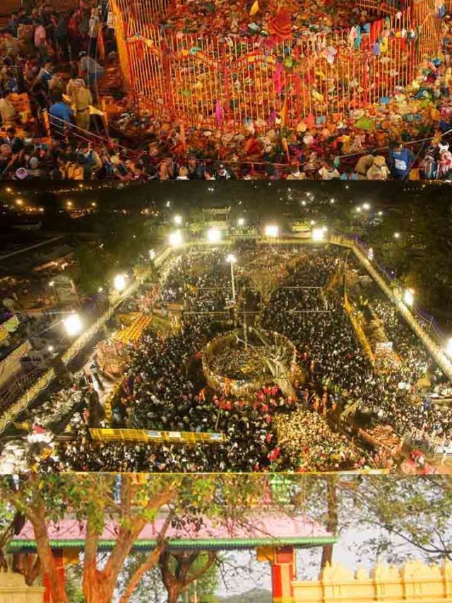 >మేడారం జాతర షురూ