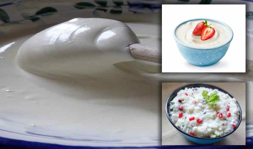 Curd