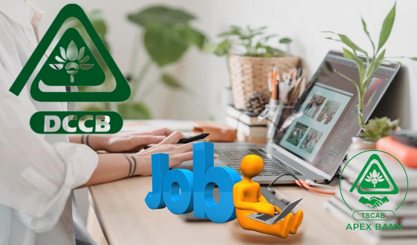 Dccb Jobs (1)