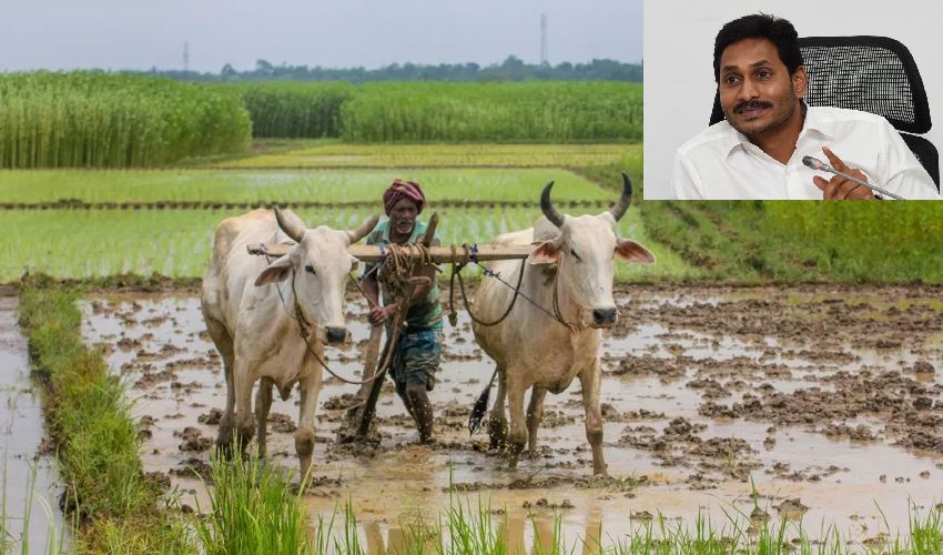 Farmers in AP: ఏపీలో “పంట బీమా పధకం”తో రైతులకు ఉపయోగంలేదు: రైతు సంఘం Farmers in AP: ఏపీలో “పంట బీమా పధకం”తో రైతులకు ఉపయోగంలేదు: రైతు సంఘం