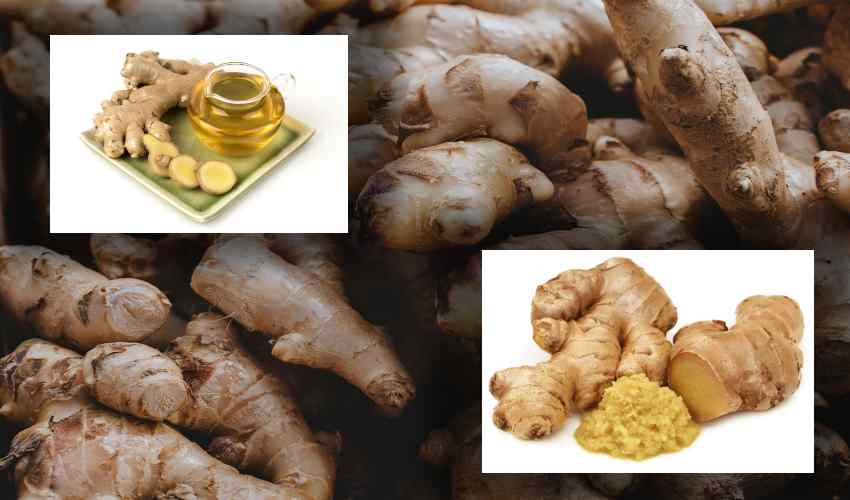 Ginger Packs
