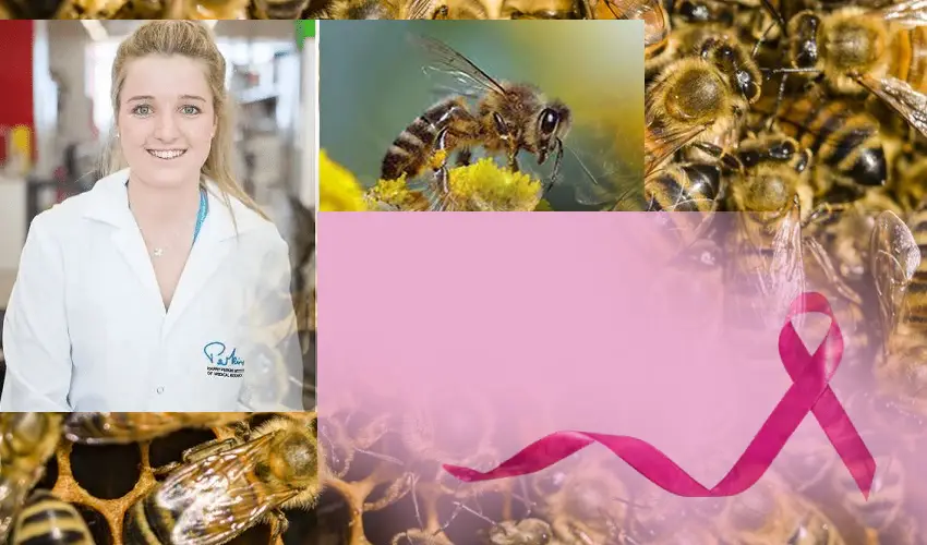 Breast Cancer : బ్రెస్ట్ క్యాన్సర్ను నయంచేసే తేనెటీగల విషం..ఆస్ట్రేలియా శాస్త్రవేత్తలు పరిశోధనల్లో వెల్లడి Breast Cancer : బ్రెస్ట్ క్యాన్సర్ను నయంచేసే తేనెటీగల విషం..ఆస్ట్రేలియా శాస్త్రవేత్తలు పరిశోధనల్లో వెల్లడి