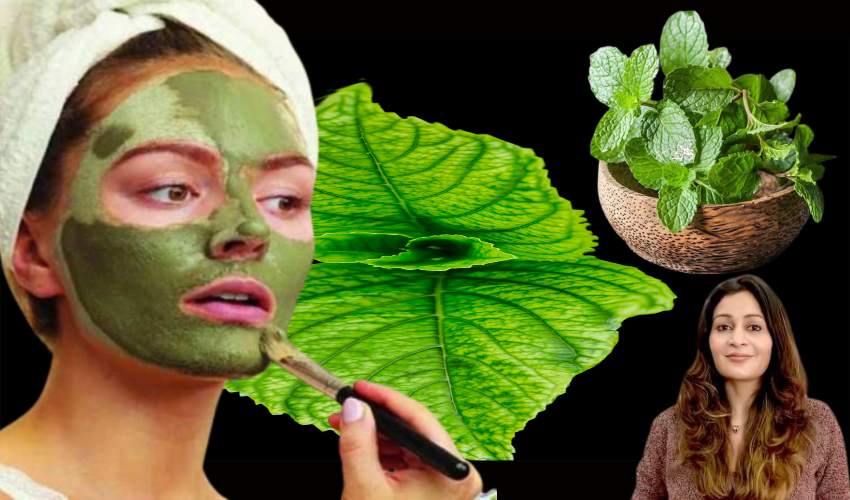 Mint Leaves : ముఖంపై మచ్చలు, మొటిమలు తొలగించే పుదీనా ఫేస్ ప్యాక్స్ Mint Leaves : ముఖంపై మచ్చలు, మొటిమలు తొలగించే పుదీనా ఫేస్ ప్యాక్స్