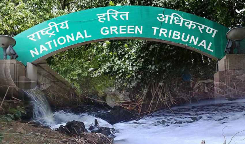 Ngt On Pollution