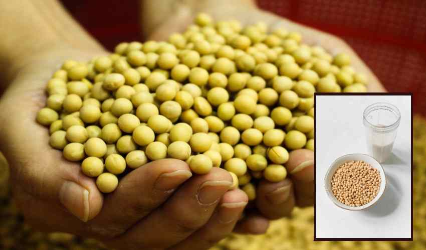 Soya Milk : ఎముకల బలంతోపాటు…బరువు తగ్గించే… సోయాపాలు Soya Milk : ఎముకల బలంతోపాటు…బరువు తగ్గించే… సోయాపాలు