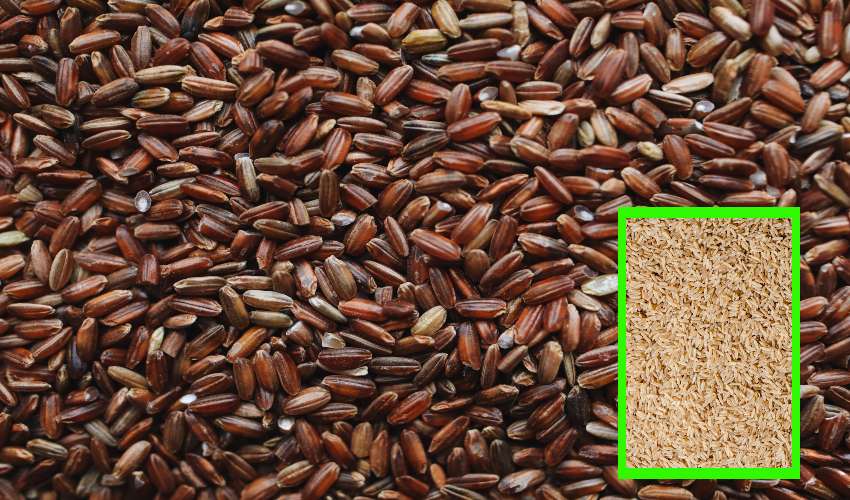 Brown Rice..red Rice