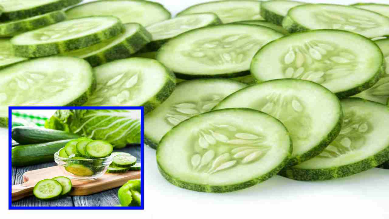 Cucumber : మండే ఎండలకు చల్లదనం కోసం కీరదోస Cucumber : మండే ఎండలకు చల్లదనం కోసం కీరదోస