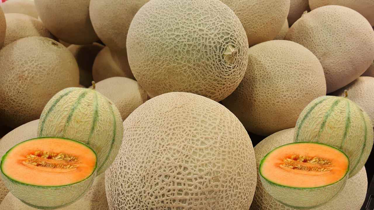 Musk Melon : వేసవిలో ఖర్భూజా తినటం ఆరోగ్యానికి మంచిదా?… Musk Melon : వేసవిలో ఖర్భూజా తినటం ఆరోగ్యానికి మంచిదా?…