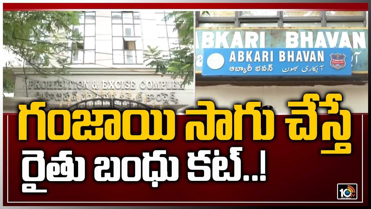 Raithu Bandhu: గంజాయి సాగు చేస్తే రైతు బంధు కట్..!