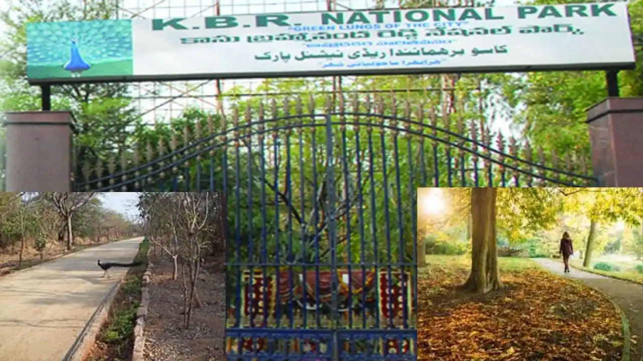Kbr Park