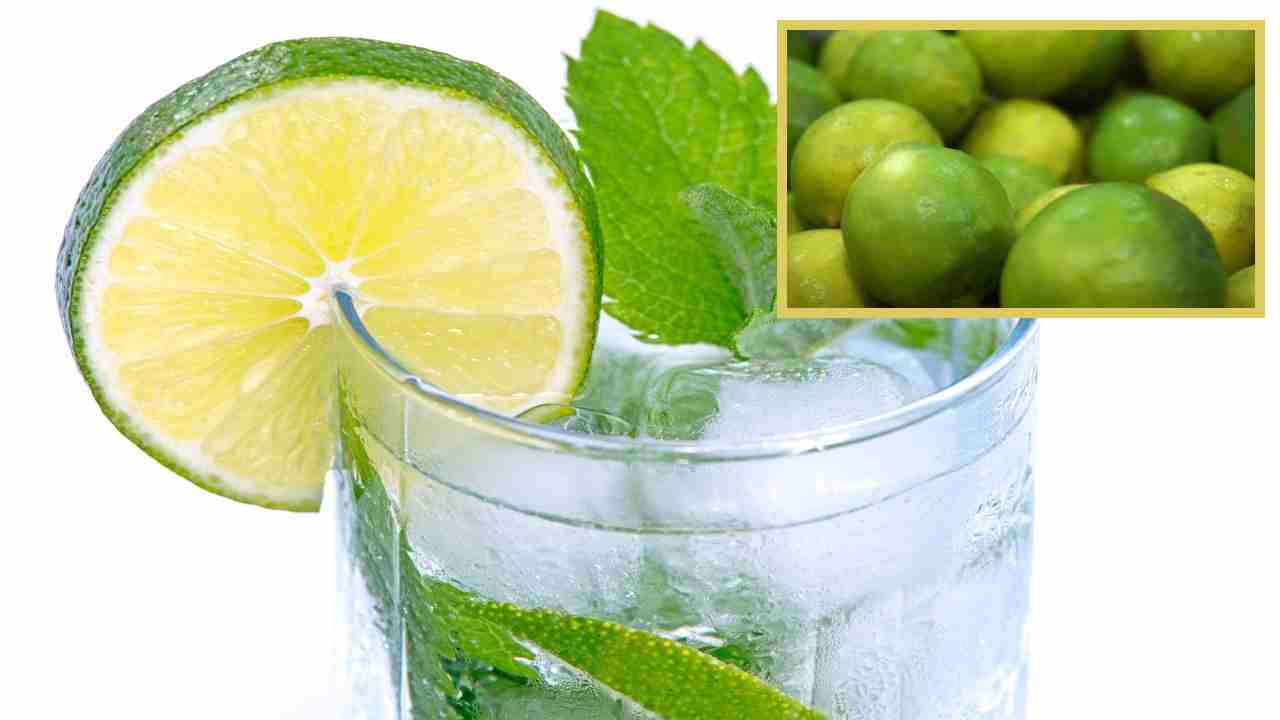 Lemon Water : వేసవిలో శరీరానికి చల్లదనాన్ని ఇచ్చే నిమ్మకాయ నీరు! Lemon Water : వేసవిలో శరీరానికి చల్లదనాన్ని ఇచ్చే నిమ్మకాయ నీరు!