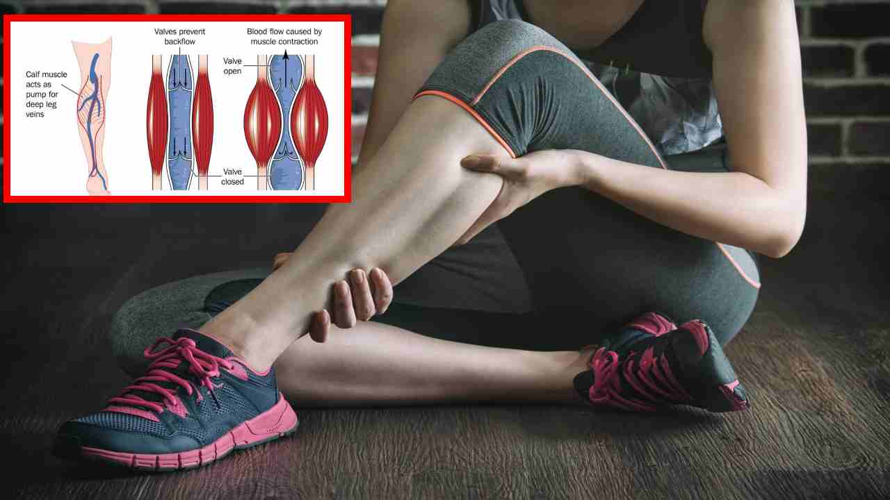 Leg Cramps : రక్తాన్ని పంప్ చేయటంలో కాళ్ల పిక్కలు కీలకమే!. Leg Cramps : రక్తాన్ని పంప్ చేయటంలో కాళ్ల పిక్కలు కీలకమే!.