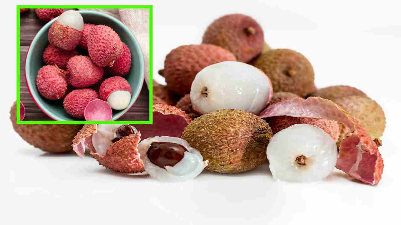 Lychee Fruits : వేసవిలో ఆరోగ్యానికి మేలుచేసే లీచీ పండ్లు Lychee Fruits : వేసవిలో ఆరోగ్యానికి మేలుచేసే లీచీ పండ్లు
