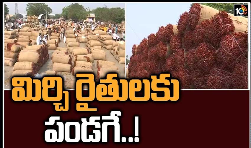 మిర్చి రైతులకు పండగే..!
